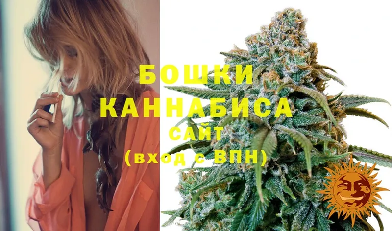 Шишки марихуана OG Kush  Жиздра 